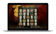 Wanted Dead or a Wild